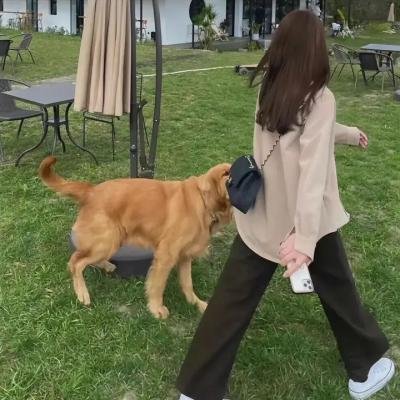 樱，重逢的加奈子